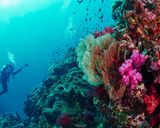 جزایر سیمیلان تایلند جزایر سیمیلان تایلند