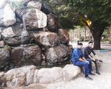 پارک جنگلی باهنر کرمان پارک جنگلی باهنر کرمان