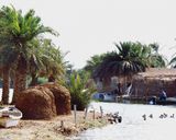 صراخیه صراخیه
