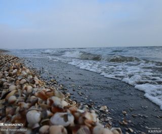 ساحل صدف آستارا ساحل صدف آستارا