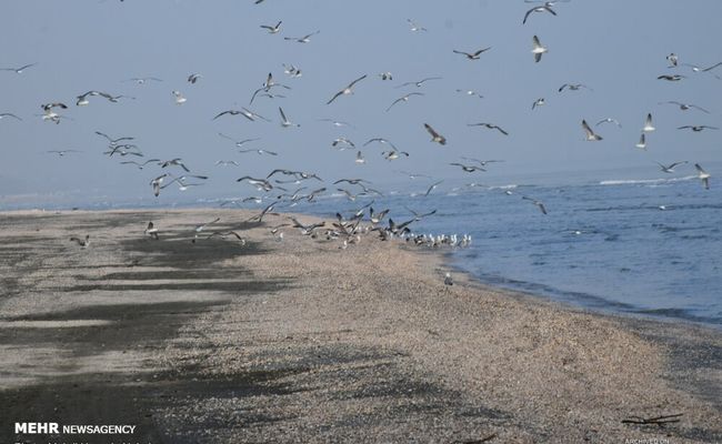 ساحل صدف آستارا ساحل صدف آستارا