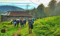 هفت آبشار سوادکوه هفت آبشار سوادکوه