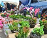 جمعه بازار کاشان جمعه بازار کاشان