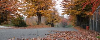 پارک جنگلی سیاه داران تالش پارک جنگلی سیاه داران تالش