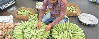 جمعه بازار کاشان جمعه بازار کاشان