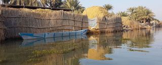 صراخیه صراخیه