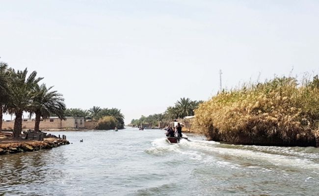 صراخیه صراخیه