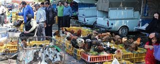 جمعه بازار کاشان جمعه بازار کاشان