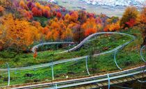 پارک جنگلی سیاه داران تالش پارک جنگلی سیاه داران تالش