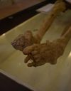 قسمت دیرین انسان شناسی قسمت دیرین انسان شناسی