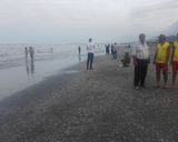 ساحل صدف آستارا ساحل صدف آستارا