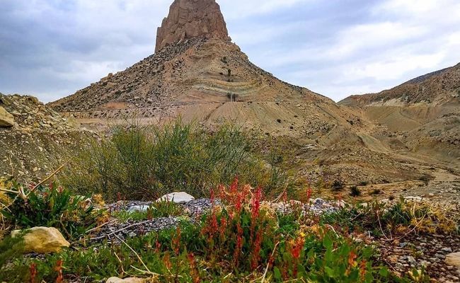 کوه پردیس بوشهر کوه پردیس بوشهر