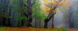 جاده شاهرود گرگان جاده شاهرود گرگان