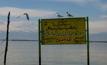 پناهگاه حیات وحش سرخانکل انزلی پناهگاه حیات وحش سرخانکل انزلی