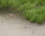 دریاچه بره سر دریاچه بره سر