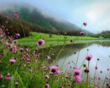 دریاچه بره سر دریاچه بره سر