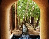 نمایی از باغ پهلوان پور نمایی از باغ پهلوان پور