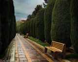 پارک ساعی تهران پارک ساعی تهران