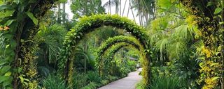 باغ گیاه شناسی سنگاپور باغ گیاه شناسی سنگاپور