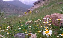 آبشار چکان لرستان آبشار چکان لرستان