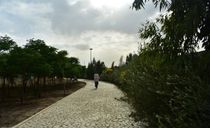 بوستان علوی قم بوستان علوی قم