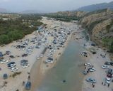 جنگل گلوبردکان بوشهر جنگل گلوبردکان بوشهر