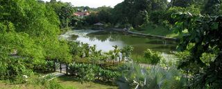 باغ گیاه شناسی سنگاپور باغ گیاه شناسی سنگاپور