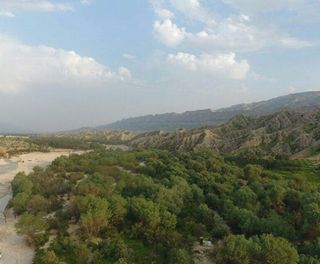 جنگل گلوبردکان بوشهر جنگل گلوبردکان بوشهر