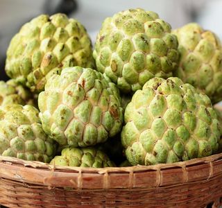 سیتاپل | Photo by : Unknown