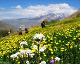 روستای پلور مازندران روستای پلور مازندران