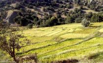 روستای کریک روستای کریک