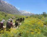 دریاچه کوه گل دریاچه کوه گل