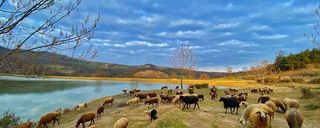 دریاچه توشن دریاچه توشن