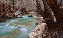 تنگ بستانک تنگ بستانک