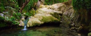 تنگ بستانک تنگ بستانک