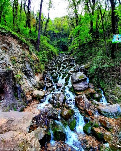 آبشار آب پری رویان | آدرس ، عکس و معرفی (1400) ☀️ کارناوال