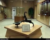 موزه هگمتانه همدان موزه هگمتانه همدان