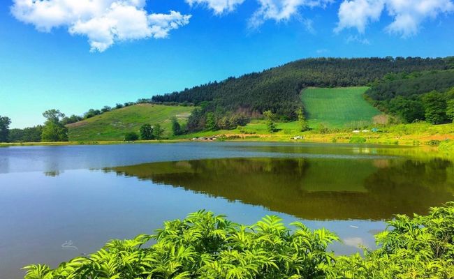 دریاچه توشن دریاچه توشن