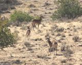 پارک ملی خجیر پارک ملی خجیر