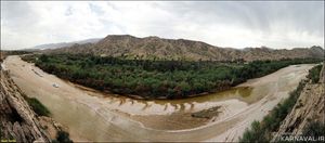 جنگل گلوبردکان جم جنگل گلوبردکان جم