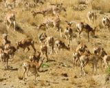 پارک ملی خجیر پارک ملی خجیر