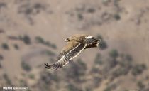 پارک ملی خجیر پارک ملی خجیر