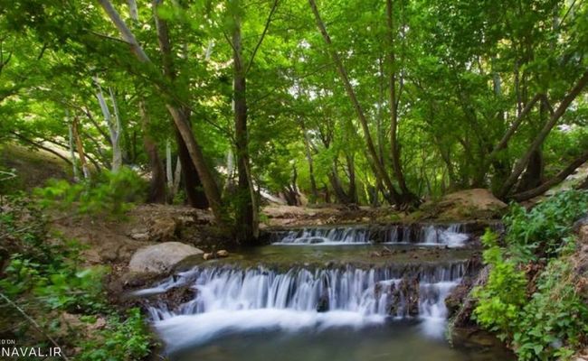 تنگ بستانک تنگ بستانک