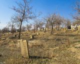 شیرهای سنگی هفشجان شیرهای سنگی هفشجان