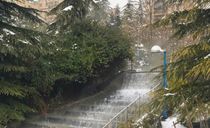 بوستان گفتگو بوستان گفتگو