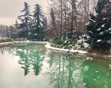 بوستان گفتگو بوستان گفتگو