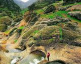 مخمل کوه لرستان مخمل کوه لرستان