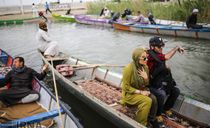 تالاب شادگان تالاب شادگان