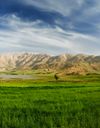 تالاب چغاخور تالاب چغاخور