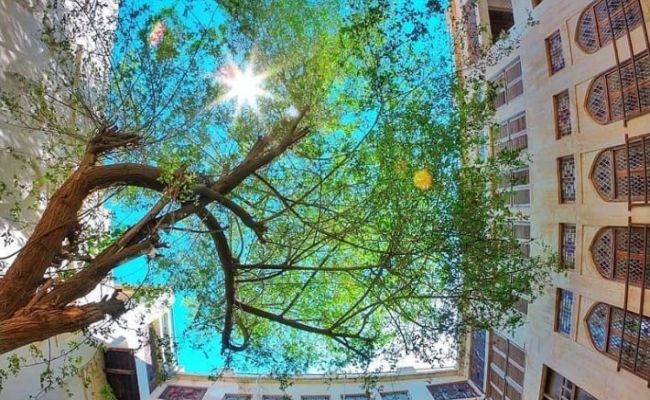عمارت دهدشتی بوشهر عمارت دهدشتی بوشهر